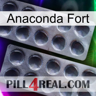 Anaconda Strong 31